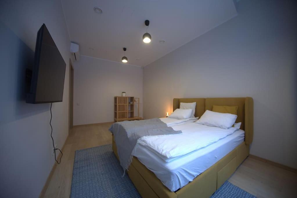 3 Bedroom Apartment In The Old/T Riga Buitenkant foto